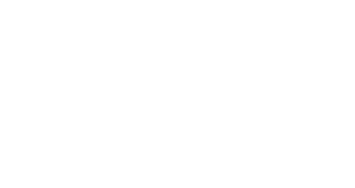 Lucy Nkosi logo